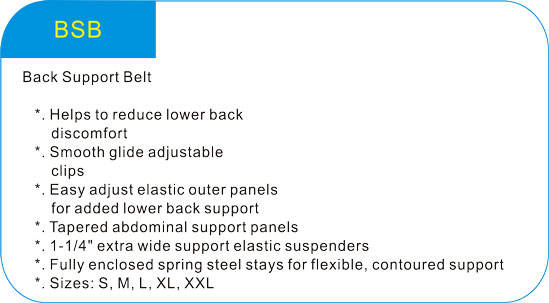 Back Support Belt